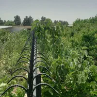 تولید کننده حفاظ سرنیزه ابشاری ،شاخ گوزنی|مصالح و تجهیزات ساختمان|فردیس, نیروگاه برق|دیوار