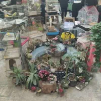 اجاره مغازه در بازاراصفهان سه راه باغ قلندرها|اجارهٔ مغازه و غرفه|اصفهان, نقش جهان|دیوار