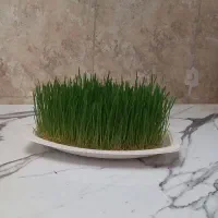 سبزه
