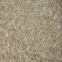 جو و گندم|حراج|کنگاور, |دیوار