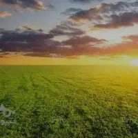 1هکتار-زمین-جنب-نیروگاه-خورشیدی-خیراباد