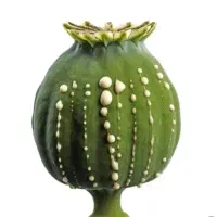 بهبود ترک اعتیاد سنتی وصنعتی