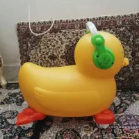 اردک موزیکال