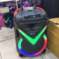 اسپیکر WGAOYANG