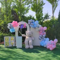 بادکنک آرایی دی جی تشریفات|خدمات پذیرایی، مراسم|کوهسار (البرز), |دیوار