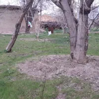 زمین مسکونی|فروش زمین و ملک کلنگی|بلداجی, |دیوار