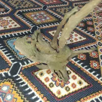 چوب آبنوس|ماهی|مسجد سلیمان, |دیوار
