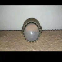 بسیار زیبا،کبودیمنی