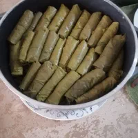 دلمه