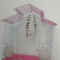 قفس