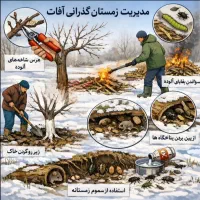 داروخانه گیاهپزشکی بهسم