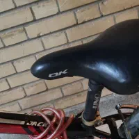 دوچرخه ویوا ۲۴|دوچرخه، اسکیت، اسکوتر|مبارکه, |دیوار