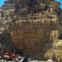 علوفه|لوازم جانبی حیوانات|نیر (اردبیل), |دیوار