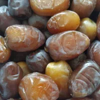 نیازمندم خانم فعال