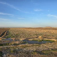 فروش-زمین-با-پروانه-گلخانه-در-جعفریه