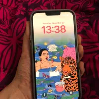 ایفون ۱۳پرومکس zaa|موبایل|تهران, استخر|دیوار