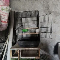 تعدادی مرغ با قفس|حیوانات مزرعه|دامن, |دیوار