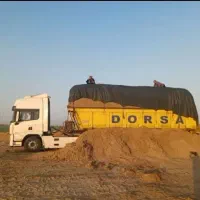 کاه نیشکر جایگزین کاه گندم ارزان و بصرفه|حیوانات مزرعه|آمل, |دیوار