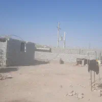 اجاره گلخانه|اجارهٔ دفتر صنعتی، کشاورزی، تجاری|زاهدان, |دیوار