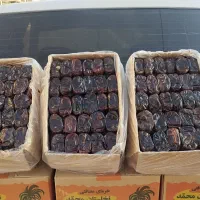 خرما از باغ به مشتری بدون واسطه