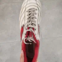 کتونی ورزشی لوتو|کیف، کفش، کمربند|هشتگرد, سعید آباد|دیوار