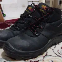 کفش سایز ۴۳