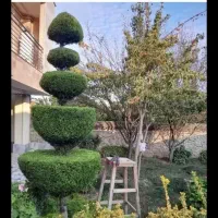 اجرا‌وامور‌باغبانی‌وفضای‌سبز|خدمات باغبانی و درختکاری|گرگان, |دیوار