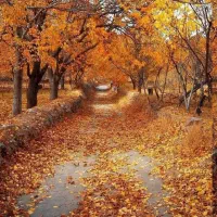 زمین آینده دار بعد از دانشگاه فلاورجان