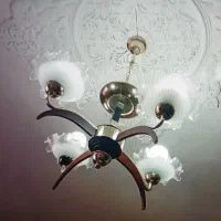 دو لوستر زیبا|لوستر و چراغ آویز|رشت, دیانتی|دیوار