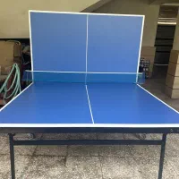میز پینگ پنگ