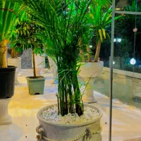 گلدان پتینه|صنایع دستی و سایر لوازم تزئینی|کرج, گوهردشت|دیوار