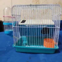 قفس همستر با تمامی لوازم بهترین قیمت