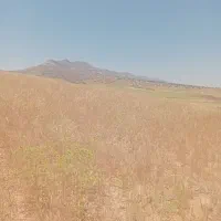 زمین شهرک نادی