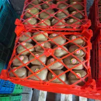 کیوی شما را خریداریم|خدمات باغبانی و درختکاری|تالش, هشتپر|دیوار