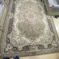 فرش ۹متری|فرش|رشت, حمیدیان|دیوار