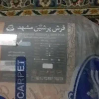 فرش پرشین مشهد نو و آکبند|فرش|نصر آباد, |دیوار