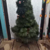 درخت کاج کریسمس