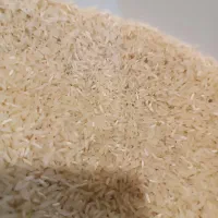 برنج فجر سوزنی|خوردنی و آشامیدنی|گرگان, |دیوار