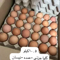 تخم مرغ بومی گلپایگانی .جهادی.آرین.دو زرده.عمده