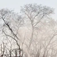 فروش زمین در آبگرم قزوین|فروش زمین و ملک کلنگی|آبگرم, |دیوار