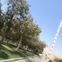 گاراژ شهرک صنوف ۴۵۰ متری با پروانه سند عدم خلاف