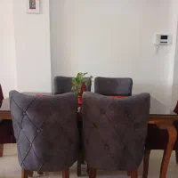 ناهار خوری ۶ نفره چستر