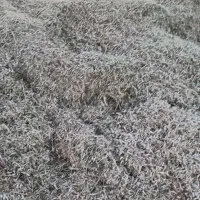 کاه لوبیا|لوازم جانبی حیوانات|قیدار, |دیوار