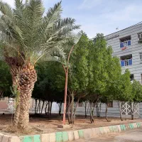 آپارتمان ۶۰ متری ۶۰۰ رهن بدون اجاره ماهانه