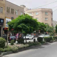 مغازه-22متری-بر-اصلی-ولیعصر-با-سند-شش-دانگ