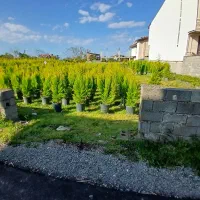 زمینی به مساحت ۵۰۰ متر مسکونی سرولات