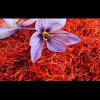 زعفران شرایطی دارم