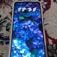 گوشی پکو c65|موبایل|مشهد, توس (بلوار توس)|دیوار