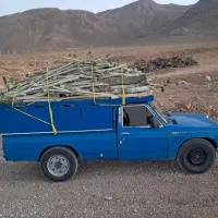 برش انواع درخت و خرید چوب