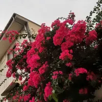 رهن ۱۶۰ متر مستقل خرمشهر صادقیه و مشابه